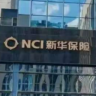 新华保险半年报：年化总投资收益率达6.7%，净利润大增54%