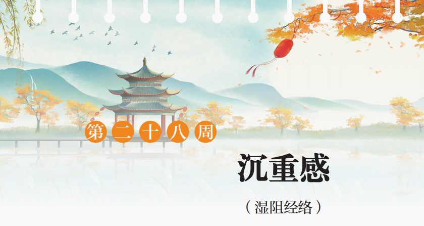 微信图片_20260729111555_47_1.png 微信图片_20260729111555_47_1.png