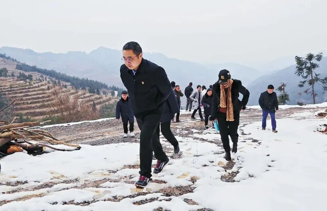 追寻那盏不灭的灯}
