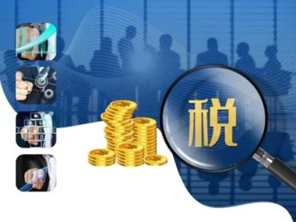 依法加强税收征管 有力培育涵养税源}