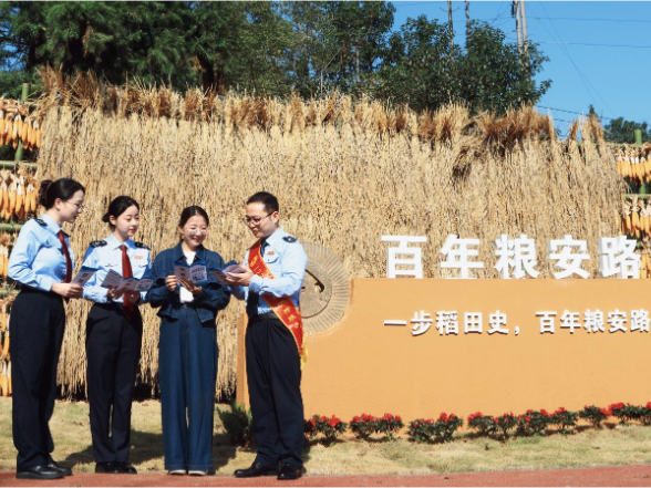 常德鼎城税务：合规添墨，绘就港中坪农文旅融合新画卷}