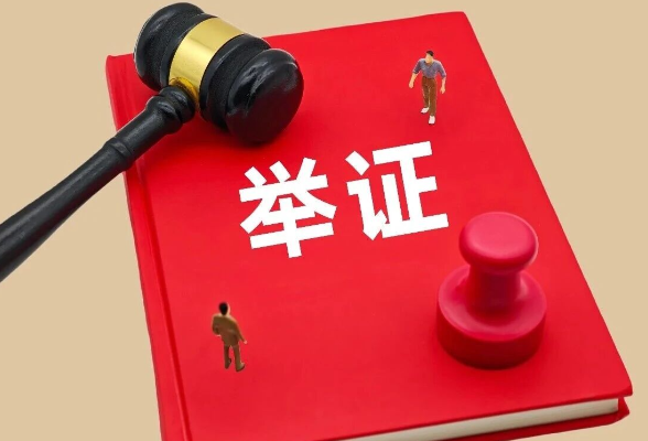 由一起涉税实务案例引出的举证责任辨析}