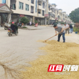 临武：秋收晒谷天 莫让公路变“晒谷场”