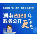湖南2020年政务公开更有料
