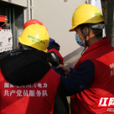 国网桂阳县供电公司 政企联动共谱县域经济发展新篇章