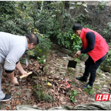 北湖区燕泉街道五岭阁社区：携手自治 无人管理小区“变身记”