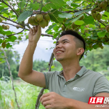 北湖区安和街道新田岭村：产业兴旺鼓起群众“钱袋子”