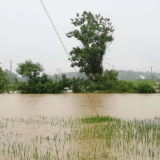 预警又来了！桂阳、永兴、安仁这些地方需防范地质灾害