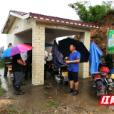 寻羊记