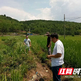 宜章县多举措抗旱减灾