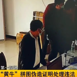 行拘5日！这位“黄牛”胆真大，伪造证明来处理交通违法