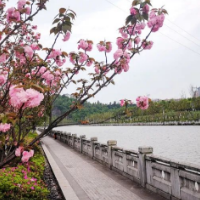提质改造见成效 郴江下游风景美如画