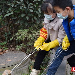 北湖区涌泉街道船洞社区：爱护环境 从我做起