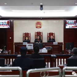 苏仙首例刑事附带民事公益诉讼案件今日开庭审理并宣判