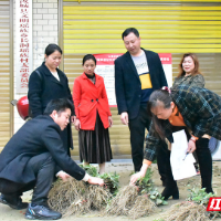 全国脱贫攻坚先进集体 | 湖南省高级人民法院：两年勾勒出长洞村最美“模样”