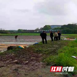 资兴市唐洞街道：春耕时节育秧忙  