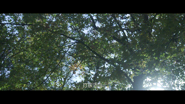 0707.gif