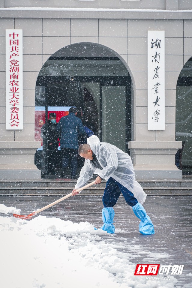 湖南农大雪景_2.jpg