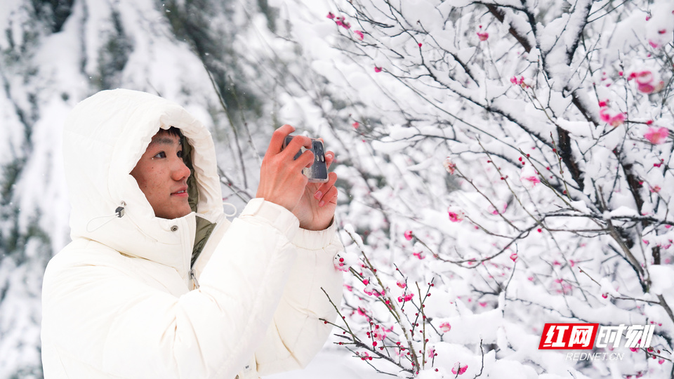 湖南农大雪景_8.jpg