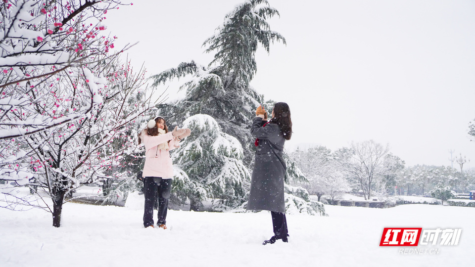 湖南农大雪景_1.jpg