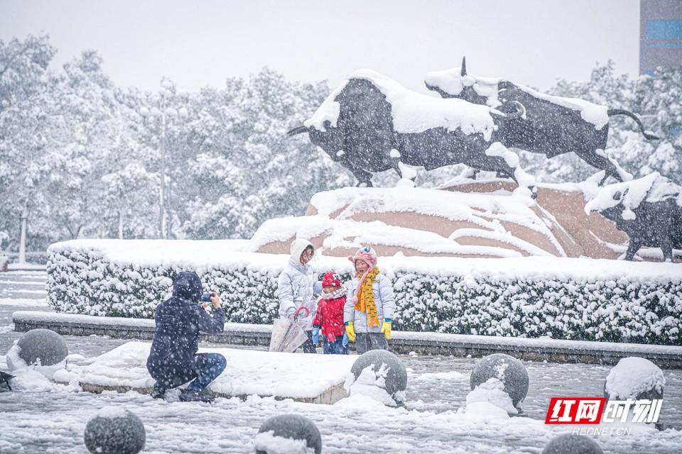 湖南农大雪景_4.jpg