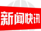 党旗飘扬在抗疫一线——记白马方舱医院第四方舱党总支党务工作纪实