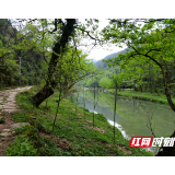 新宁县水庙镇打造绿色走廊 创建生态家园