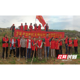 邵阳县罗城乡新时代文明志愿者开展油茶种植行动