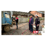 邵阳县交警：现场切割拆解报废车辆消除安全隐患