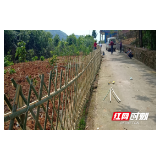 邵阳县金江乡“编篱下地、送桶入户、挂牌上墙”三部曲为“美丽乡镇”建设提供硬核保障