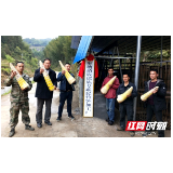 绥宁县麻塘乡：扶贫车间进竹山 竹笋“挖”出致富路