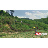 绥宁县双龙村：推进产业发展“穷窝”变成“金窝”