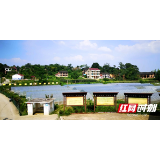 邵阳市双清区：蔬菜产业链助力脱贫奔小康