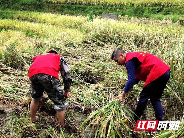 微信图片_20200916201408.jpg