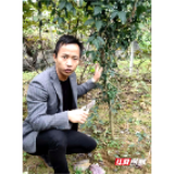 最美丽守法公民丨唐朝武:守法经营 带领乡亲增收致富