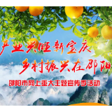 约约约！“网约邵阳”邀你来崀山吃脐橙~~~