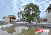 巩固拓展脱贫攻坚成果丨武冈：努力打造美丽乡村样板 绘制乡村振兴新画卷