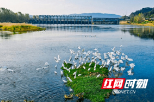 邵阳县全力守护一方碧水 精心打造美丽河湖