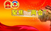 政协邵阳市第十三届委员会第一次会议共收到提案311件