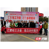 邵阳市双清区：汇聚社工力量 激活城乡一池春水