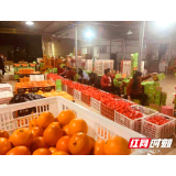 新宁：果农由愁转喜 脐橙逆袭热销