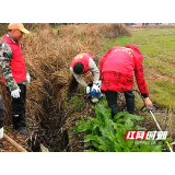 武冈市：春耕好时节 志愿服务忙