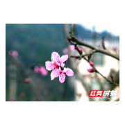 走，去新邵的“花花”世界尽情浪