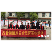 城步西岩镇扎实开展国家安全教育宣传活动