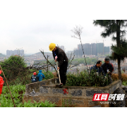 双清区依法拆除21座非法墓地