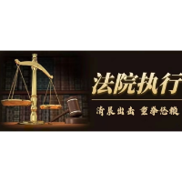 我为群众办实事丨武冈法院：一次清晨突击执行