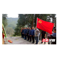 绥宁瓦屋塘镇：念好“四字”经 学习有成效