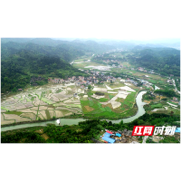 组图丨绥宁：苗乡侗寨春耕忙 不负春光不误时