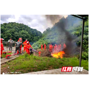 新宁正式拉开夏季森林防火攻坚战序幕