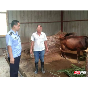 大祥公安各乡镇派出所为民服务情暖山乡